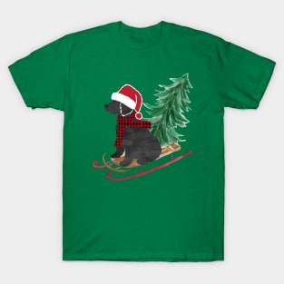 Labradoodle Christmas Sled Bringing Home The Tree T-Shirt